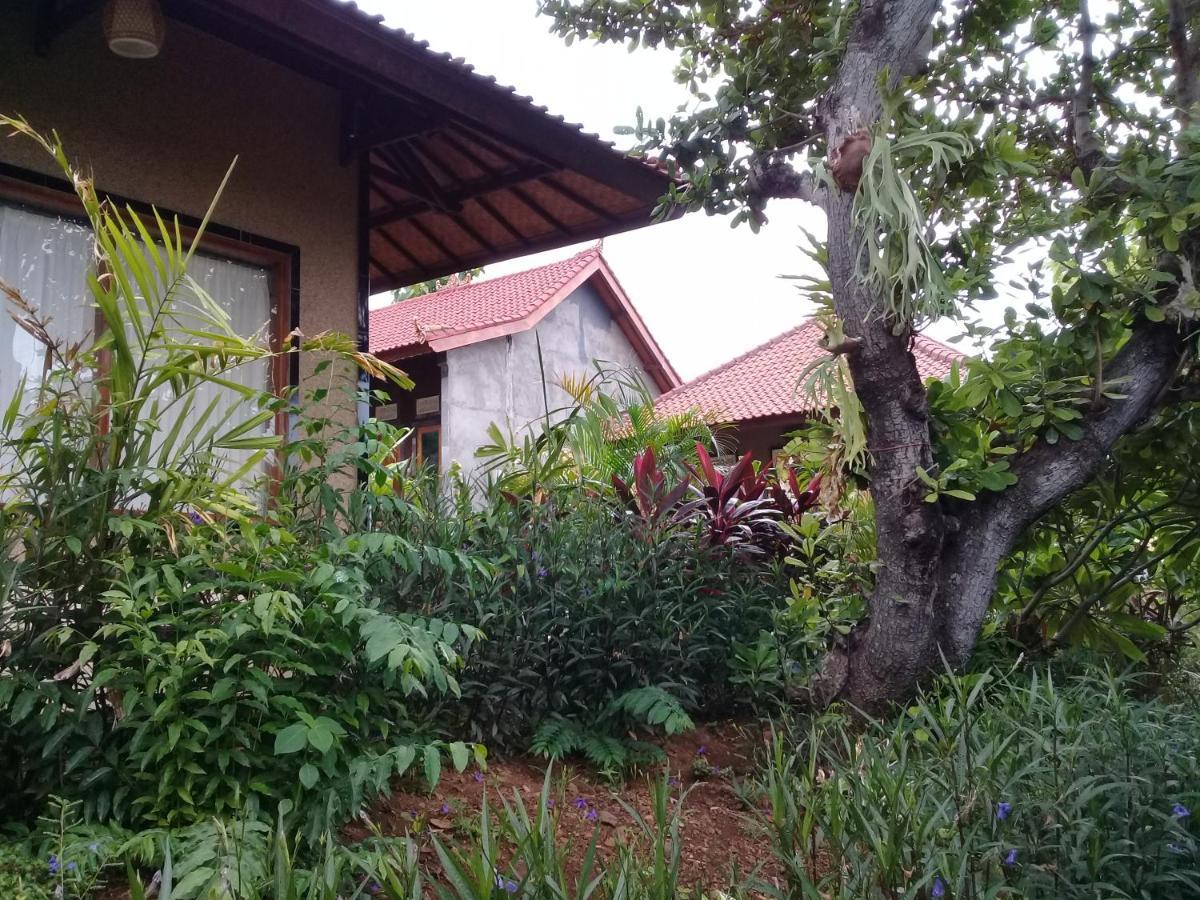 Eliska Sumberkima Pemuteran Esterno foto